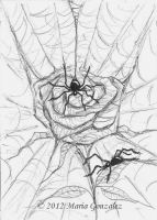 Spiderweb Rose